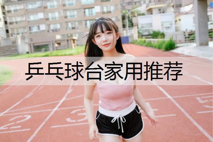 乒乓球台家用推荐